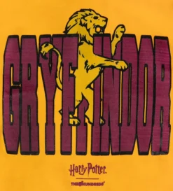 House Crewneck (Gold) -Unisex Clothing Sales L21W201016 GOLd1